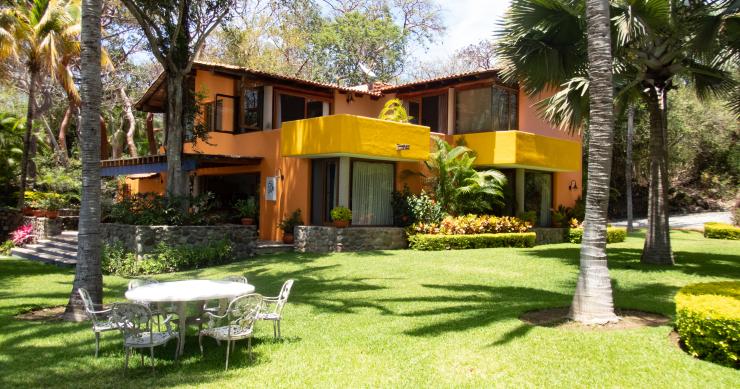 Como preparar o jardim para a primavera: 6 truques infalíveis