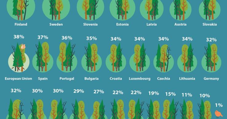 Portugal é o 9º país da UE com mais área florestal