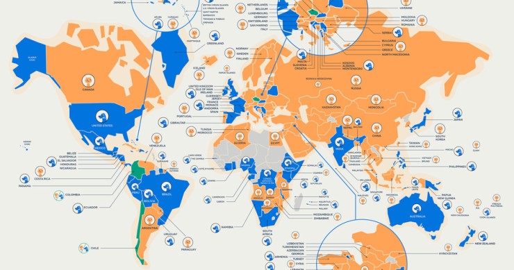 Cães ou gatos? Este mapa revela as preferências de cada país