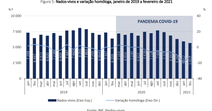 Natalidade trava a fundo em 2021