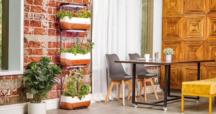 Como decorar o terraço sem gastar muito dinheiro