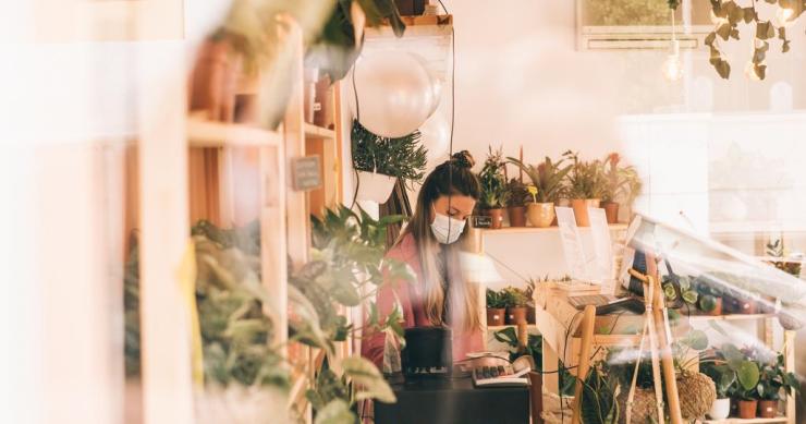 Cuidar das plantas é terapêutico