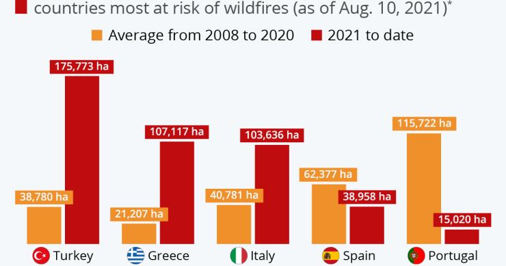 Incêndios na Europa à lupa – Portugal tem sido dos países mais afetados