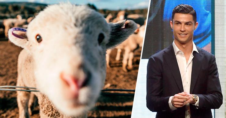 Ronaldo muda de casa em Manchester