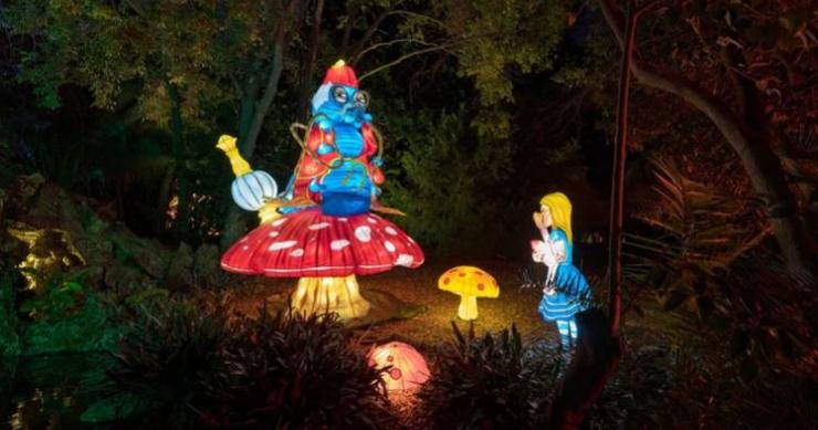Magical Garden – Alice