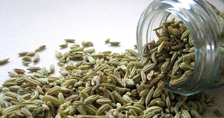 Plantas medicinais