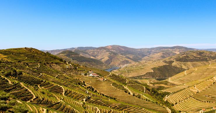 Sonae Capital vende terreno no Douro