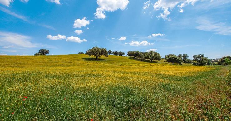 alentejo