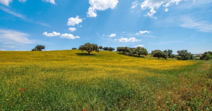 Alentejo