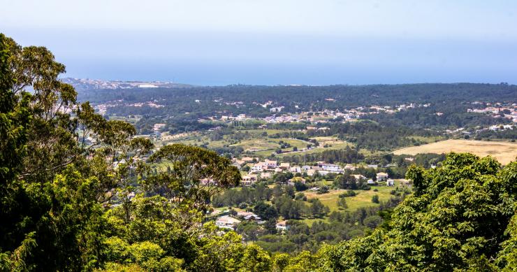 Apoios à habitação em Sintra