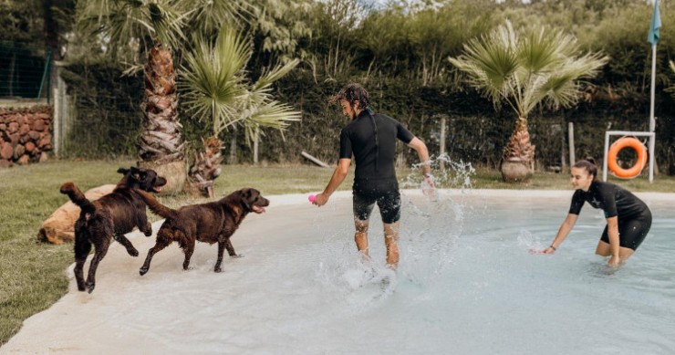 Dog hotel in the Algarve