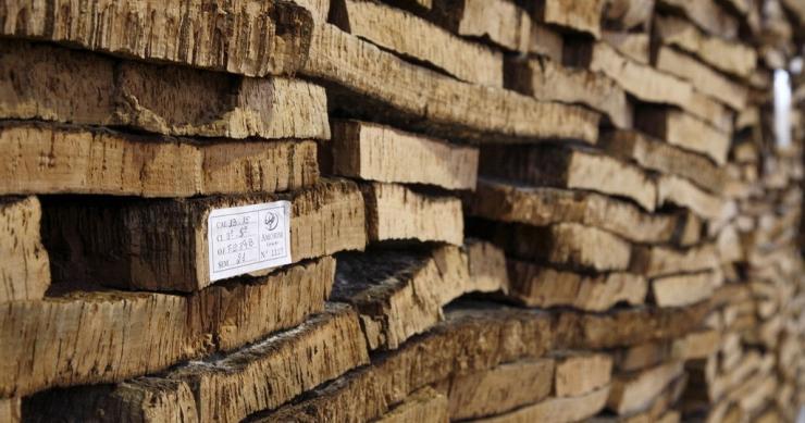 Corticeira Amorim engorda lucros em 20% no primeiro semestre