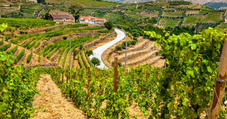 Alojamento Local no Douro