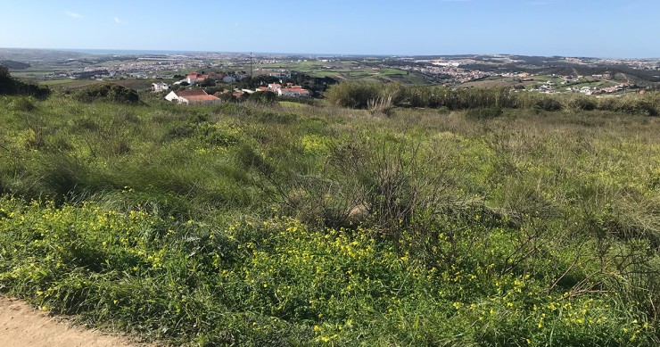 Terrenos com licença de construção aprovada