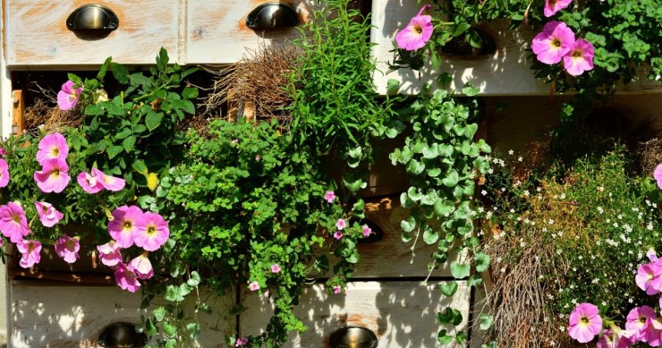 flores de primavera