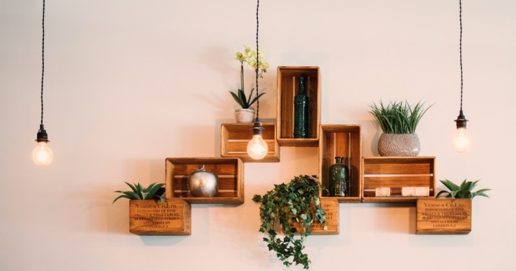 Decoração de Parede com Plantas
