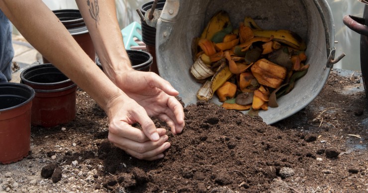 Compostagem: como fazer?