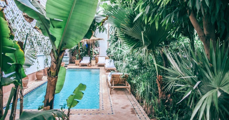 jardim com piscina