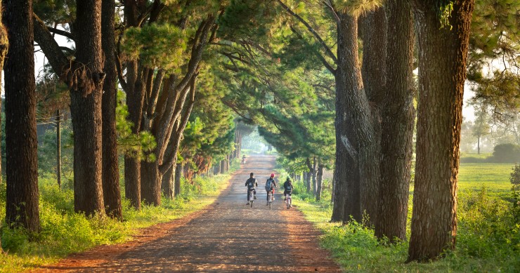 Floresta