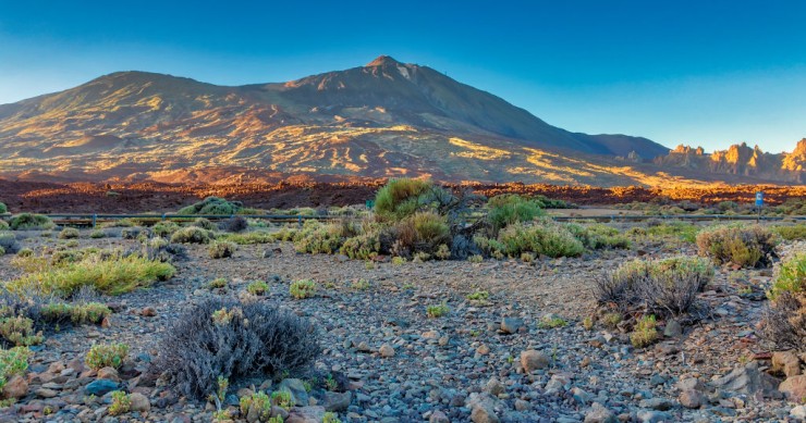 El Teide