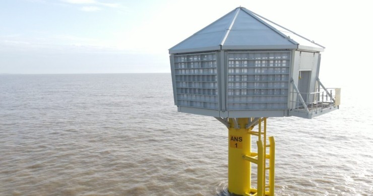 Num parque eólico 'offshore' criaram casas para gaivotas em perigo