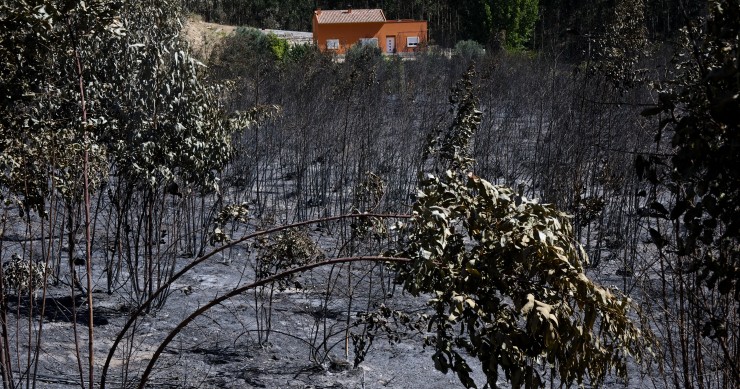 seguros contra incêndios