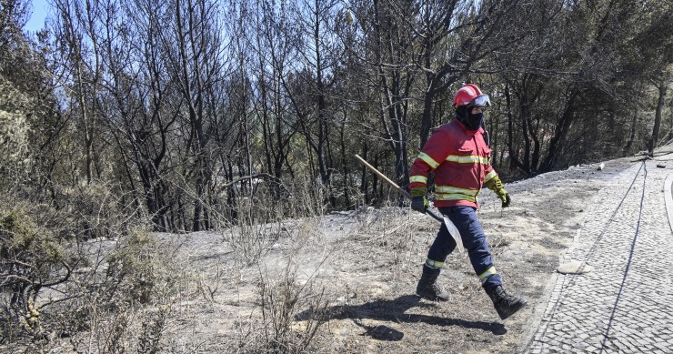 incêndios