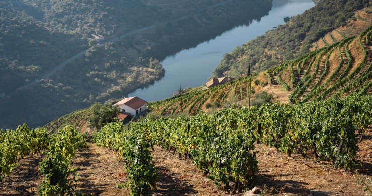 Douro