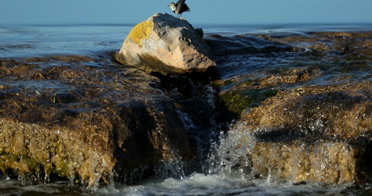 Seca no Algarve e construção de dessalinizadora