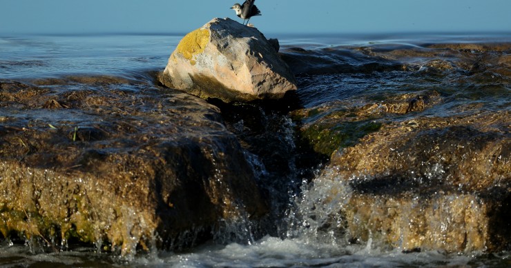 Seca no Algarve e construção de dessalinizadora 