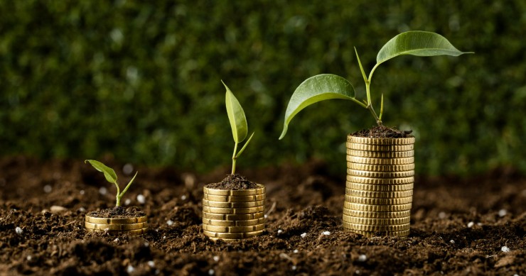 saber investir dinheiro