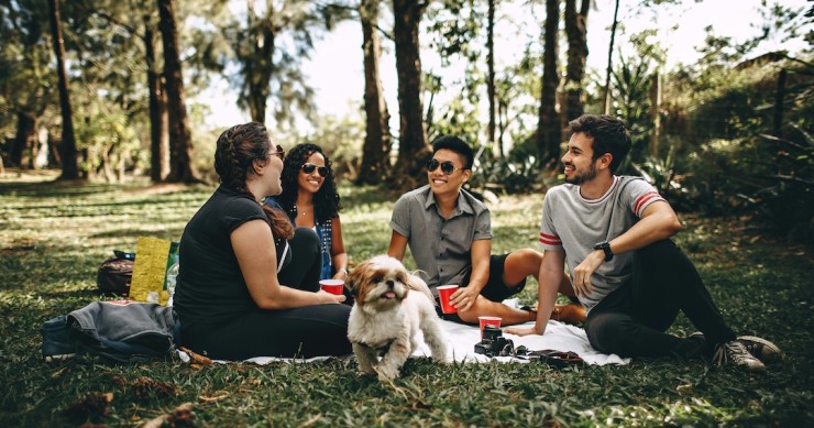 piquenique de primavera com amigos