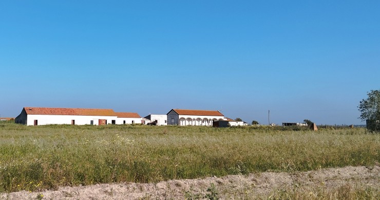 Quinta Palmela
