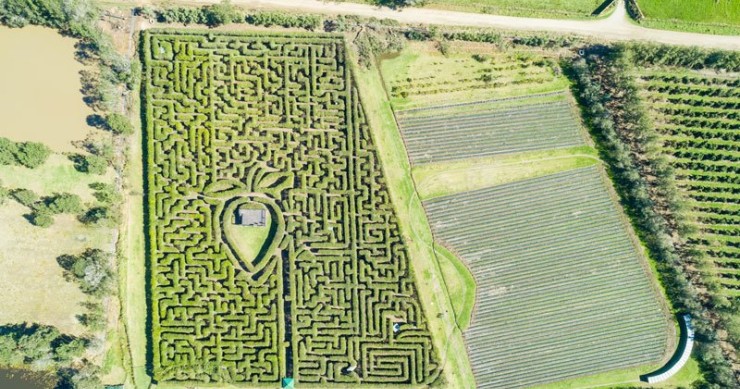 os labirintos mais impressionantes do mundo