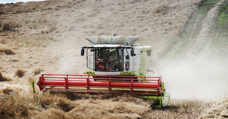 explorações agrícolas