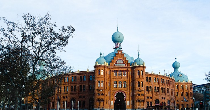 Campo pequeno
