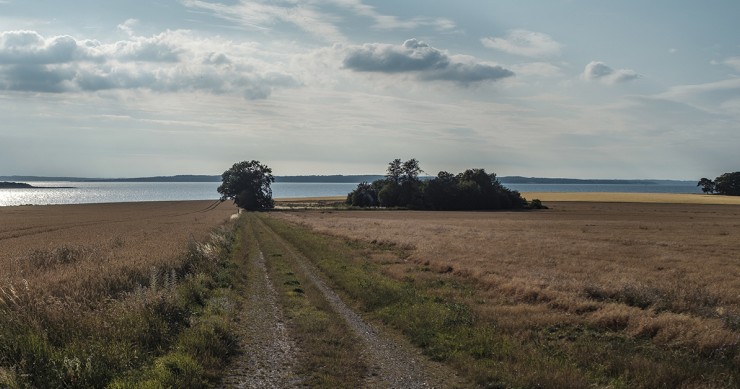 Terrenos em Portugal