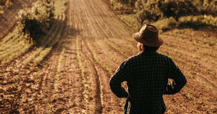 Terrenos rústicos à venda em Portugal