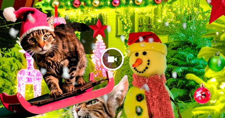 Mensagem de Natal do idealista