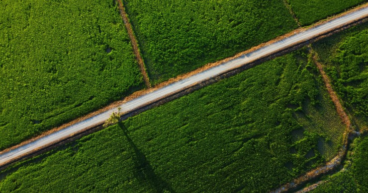 terrenos