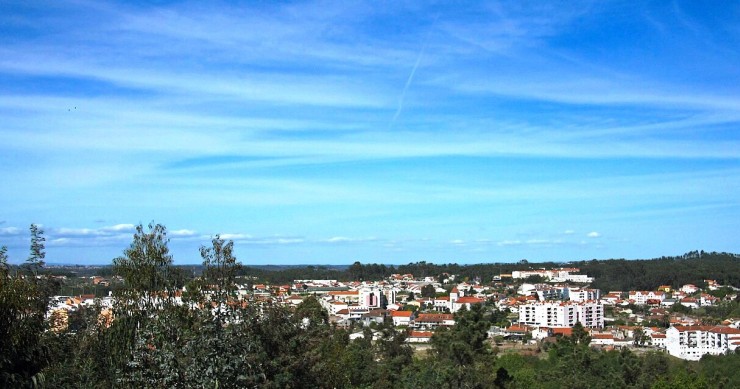 Tábua