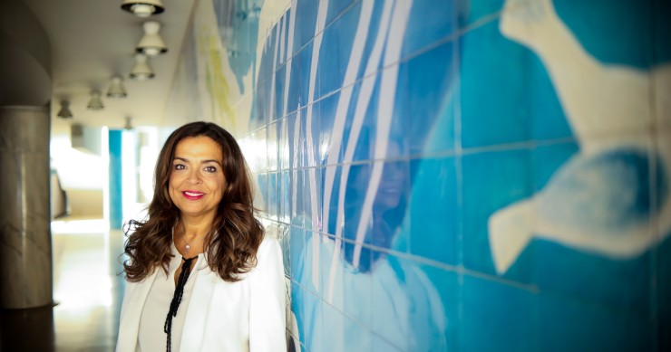 Luísa Salgueiro, presidente da Associação Nacional de Municípios Portugueses Habitação municipal