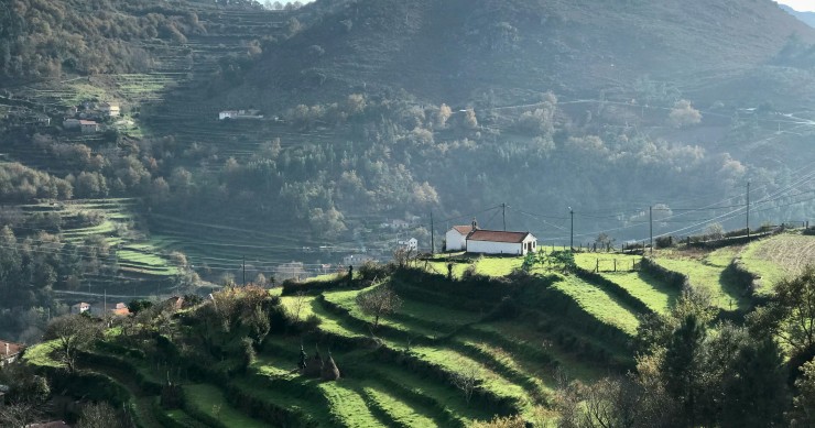 Centro de inovação agrícola nasce numa quinta devoluta