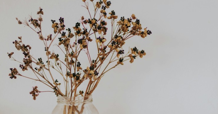 Flores secas