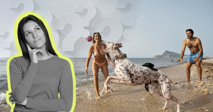 Posso levar o cão à praia?