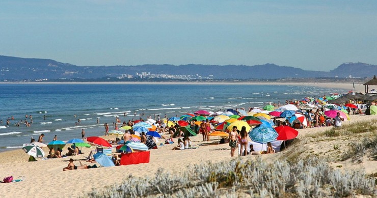 Projetos na Comporta
