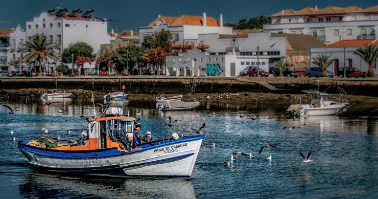 Living in Tavira