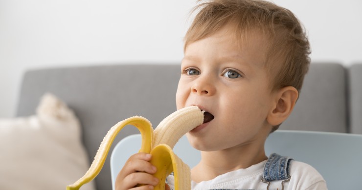 Alimentos que causam engasgos em crianças