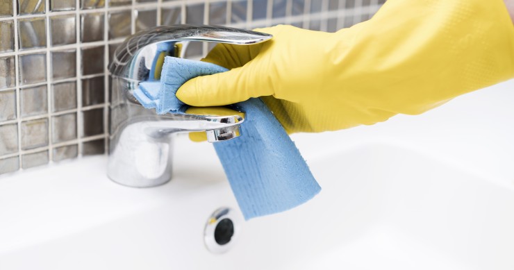 calcário conquifero 