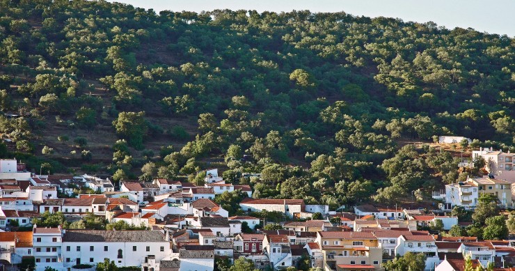 cheapest places to buy in the Algarve